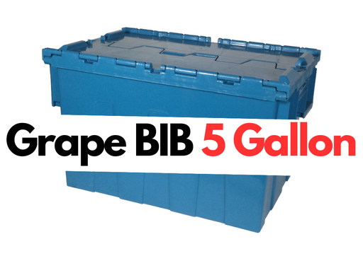 [1200-VE-0000G] Grape BIB 1/5 Gallon
